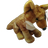 SOFTTOY COYOTE ADULT 12235