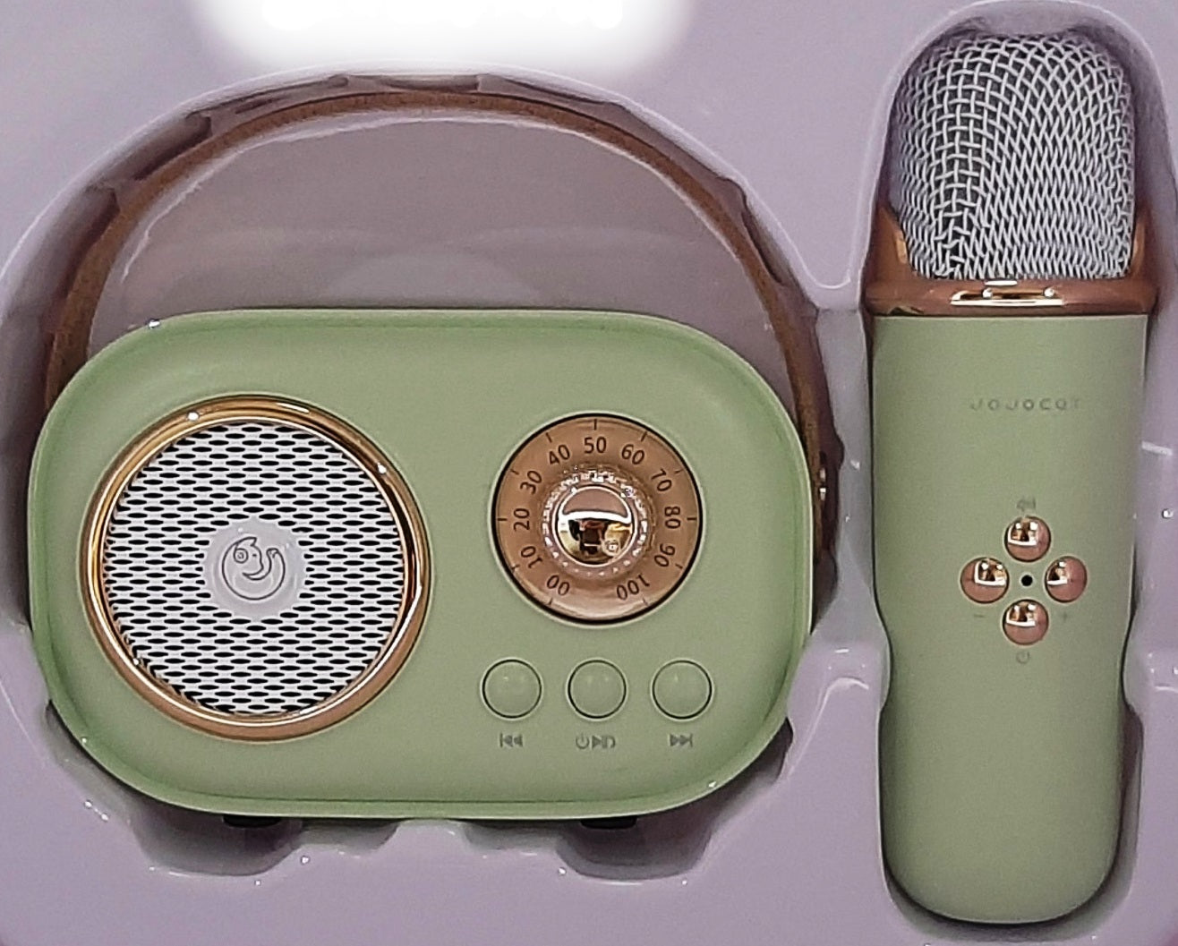 MIKE-SPKR BTC20 B241