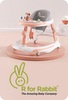 R for Rabbit