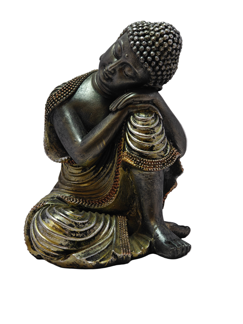 BUDHA SHOWPC W8263-1 B422