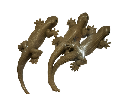 RUBBER TOY CHIPKALI