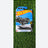 HOT WHEEL CAR
